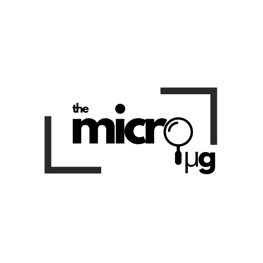 The Micro Bug